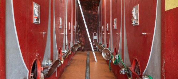 5 bedrooms Land in Gaiole in Chianti, Italy No. 53639 15