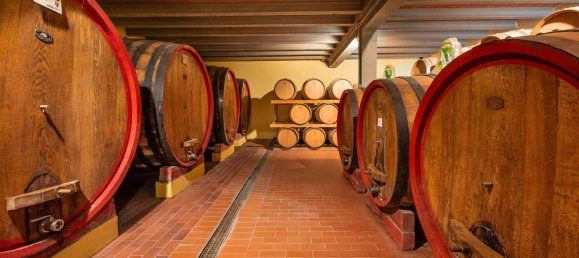 5 bedrooms Land in Gaiole in Chianti, Italy No. 53639 14