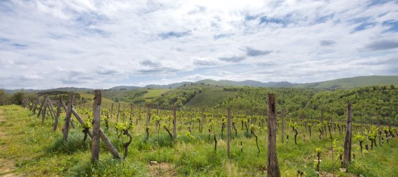 5 bedrooms Land in Gaiole in Chianti, Italy No. 53639 36