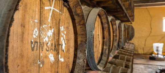 5 bedrooms Land in Gaiole in Chianti, Italy No. 53639 28