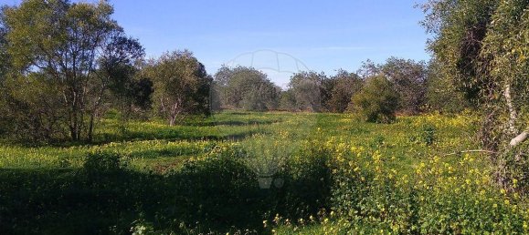 Grundstück in Loule, Portugal 7400m², Nr. 37444 4