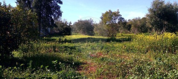 Grundstück in Loule, Portugal 7400m², Nr. 37444 5