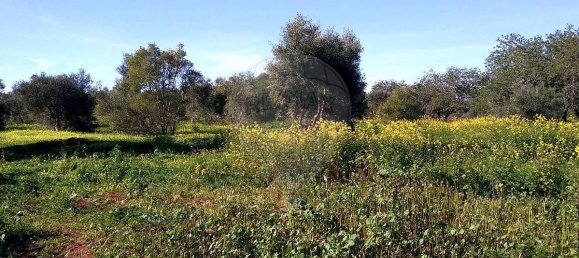 Grundstück in Loule, Portugal 7400m², Nr. 37444 2