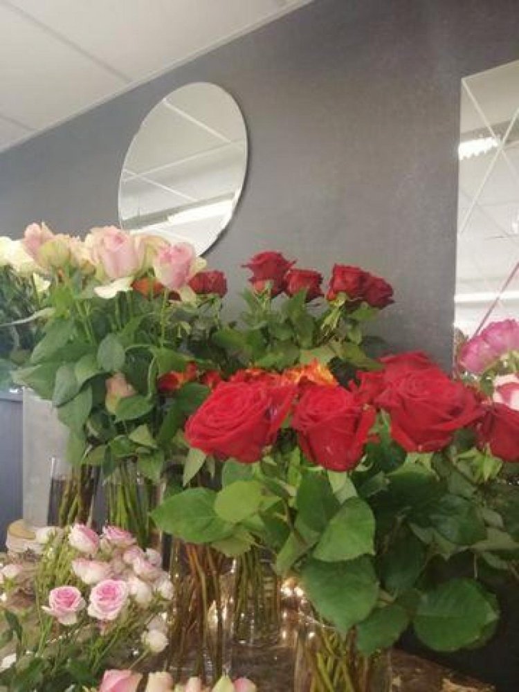 Büro in Lorient, France 149m², Nr. 18296