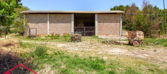 5 rooms House in Potenza Picena, Italy No. 261174 15