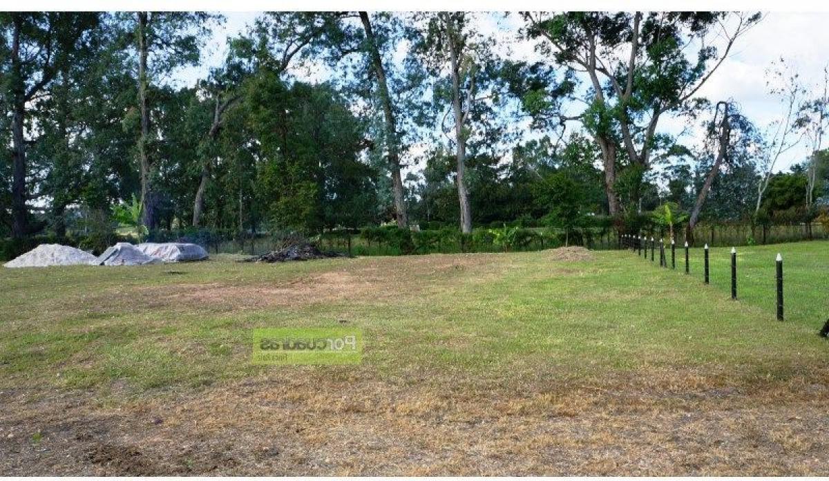 Земельный участок в Антьокия, Колумбия № 738