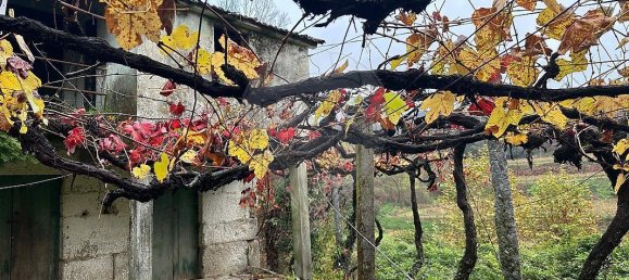 Casa de 3 dormitorios en Amarante, Portugal No. 189067 5