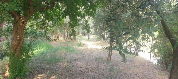 Garagem em Veroli, Italy 40 m² N.º 281447 3