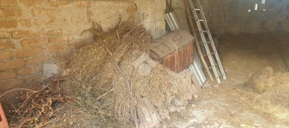 Garagem em Veroli, Italy 40 m² N.º 281447 5