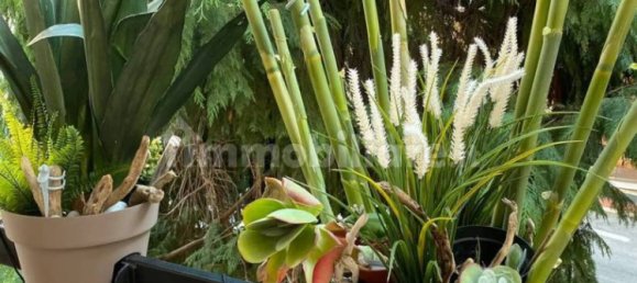 2 bedrooms Apartment in Celle Ligure, Italy No. 103306 10