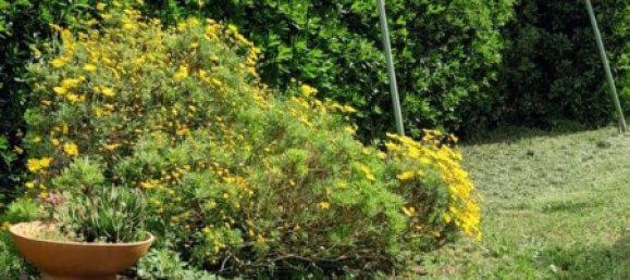 6 Schlafzimmer Haus in Pisa, Italy, Nr. 380657 25