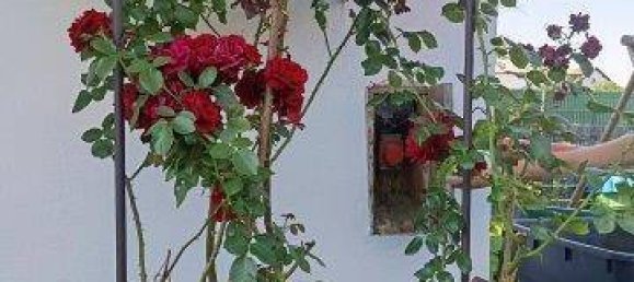 Дом с 4 комнатами в Штайнберг-Дёрфль, Австрия № 235061 21