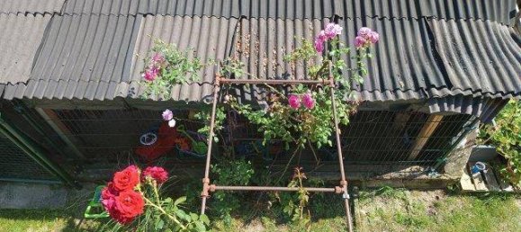 Дом с 4 комнатами в Штайнберг-Дёрфль, Австрия № 235061 20