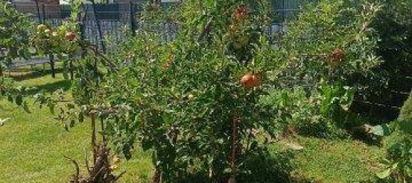 Дом с 4 комнатами в Штайнберг-Дёрфль, Австрия № 235061 17