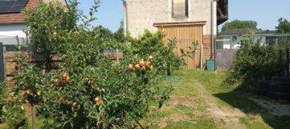 Дом с 4 комнатами в Штайнберг-Дёрфль, Австрия № 235061 16