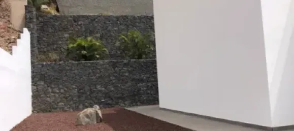 4 bedrooms House in Adeje, Spain No. 89418 22