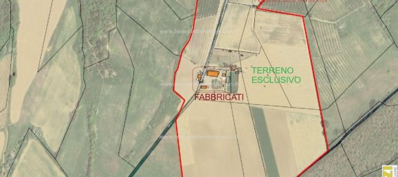 10 rooms House in Certaldo, Italy No. 230138 48