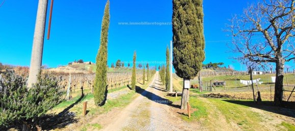 10 rooms House in Certaldo, Italy No. 230138 45