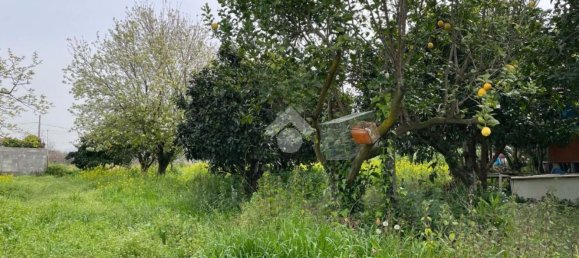 3-Zimmer Wohnung in Pollena Trocchia, Italy, Nr. 8792 18