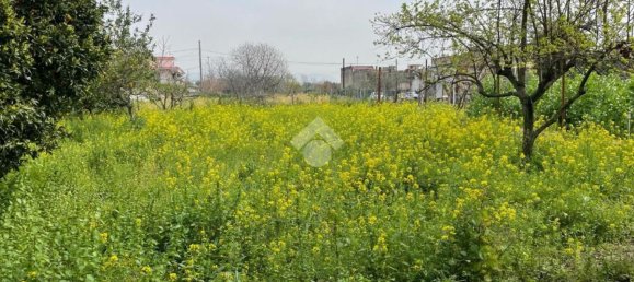 3-Zimmer Wohnung in Pollena Trocchia, Italy, Nr. 8792 7