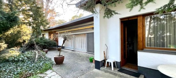 Land in Dahlem, Germany No. 116552 11