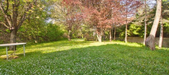 4 rooms Land in Brunn am Gebirge, Austria No. 166916 3