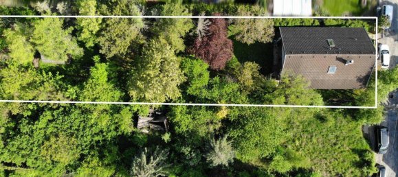 4 rooms Land in Brunn am Gebirge, Austria No. 166916 6