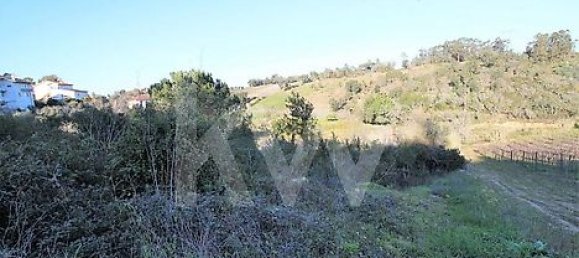  Land in Coimbra, Portugal No. 16543 7