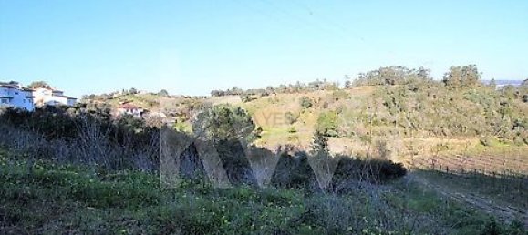  Land in Coimbra, Portugal No. 16543 6