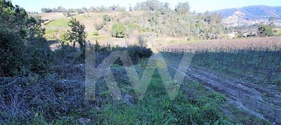  Land in Coimbra, Portugal No. 16543 8