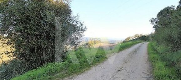  Land in Coimbra, Portugal No. 16543 4