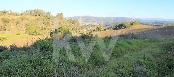  Land in Coimbra, Portugal No. 16543 5