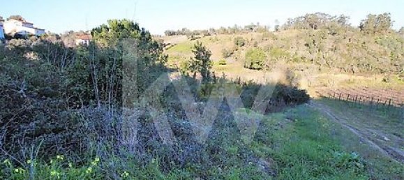  Land in Coimbra, Portugal No. 16543 9