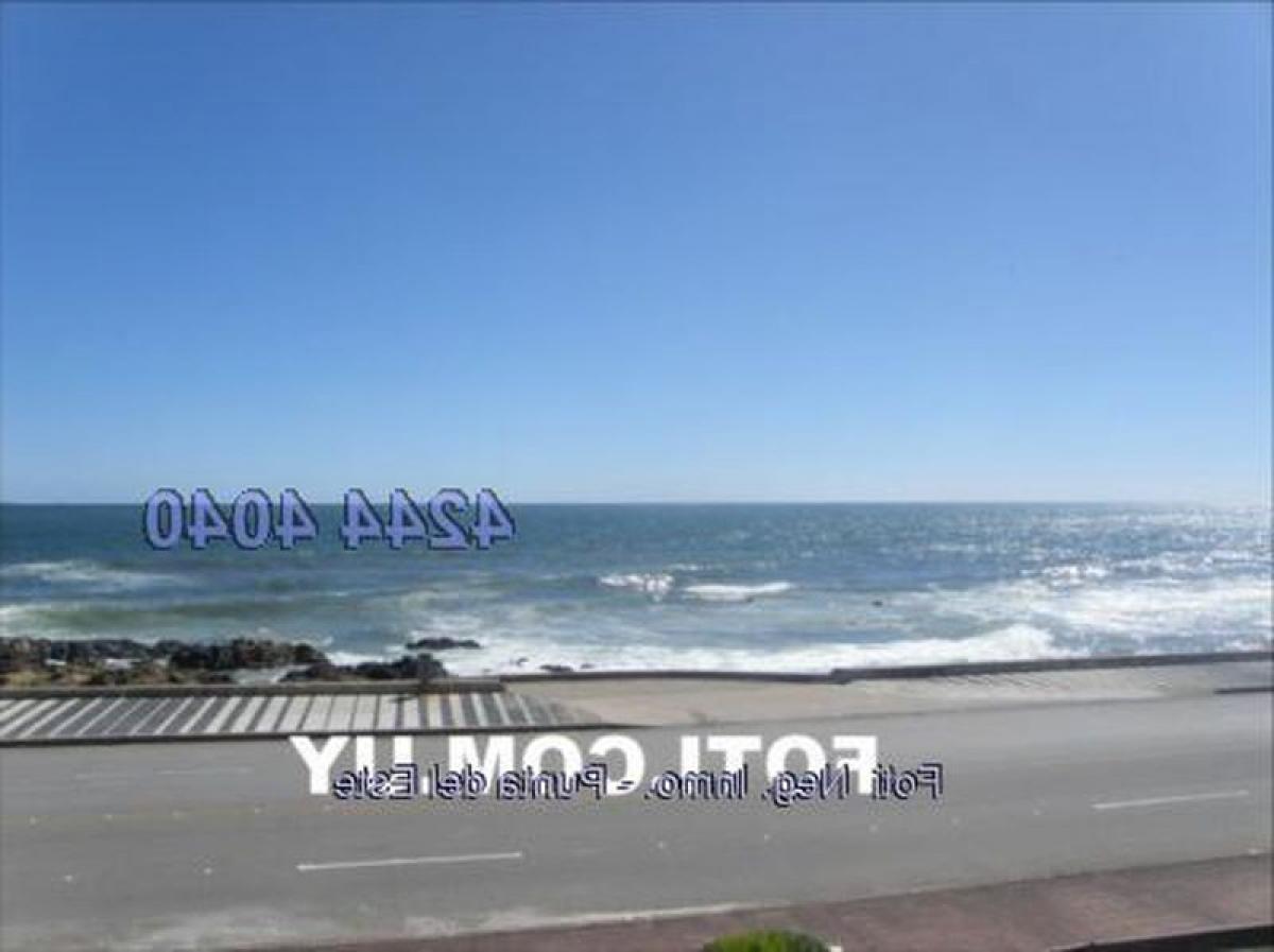 3 غرف نوم شقة في Punta del Este, Uruguay رقم 5151