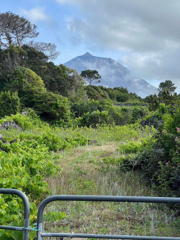  Land in Sao Roque do Pico, Portugal No. 334528