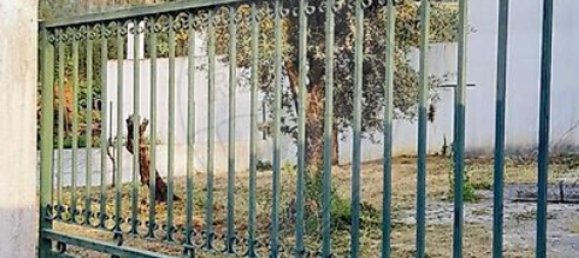 4 غرف نوم منزل في Figueiro dos Vinhos, Portugal رقم 35693 3