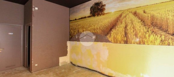 3-salle Propriété commerciale à Codogno, Italy No. 222983 12