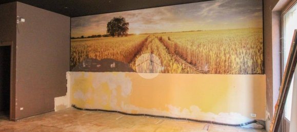 3-salle Propriété commerciale à Codogno, Italy No. 222983 16