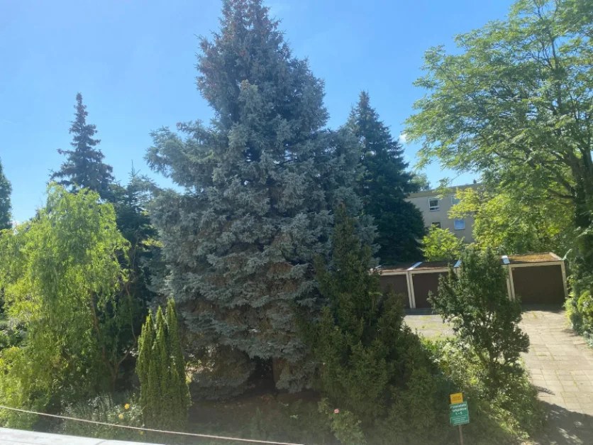 2 chambres Appartement à Mariendorf, Germany No. 16739