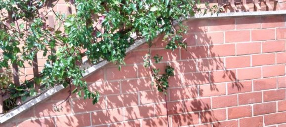 3 غرف نوم شقة في Civitavecchia, Italy رقم 342891 35