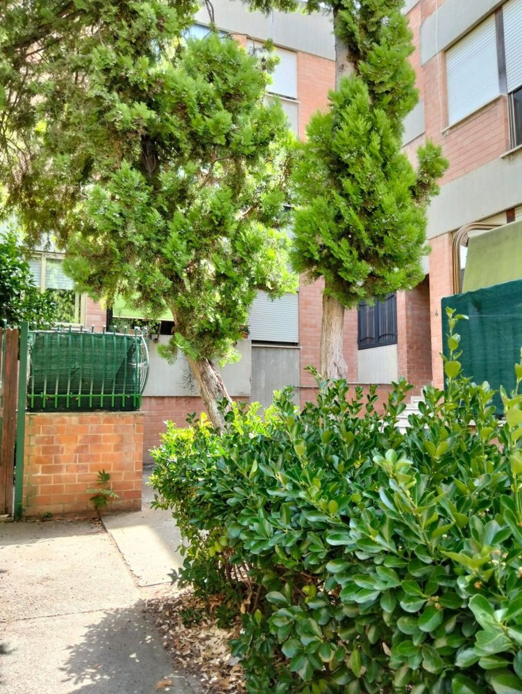 3 غرف نوم شقة في Civitavecchia, Italy رقم 342891