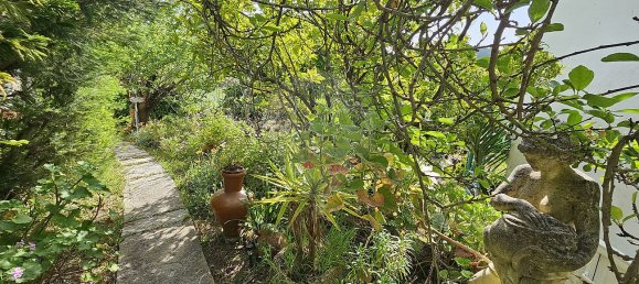 6 chambres Maison à Juncal, Portugal No. 17341 28