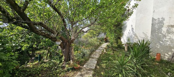 6 chambres Maison à Juncal, Portugal No. 17341 27