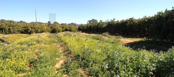 2 bedrooms House in Silves, Portugal No. 118459 34