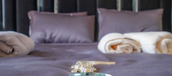 Penthouse 2+1 in Oba, Turkey No. 32805 21