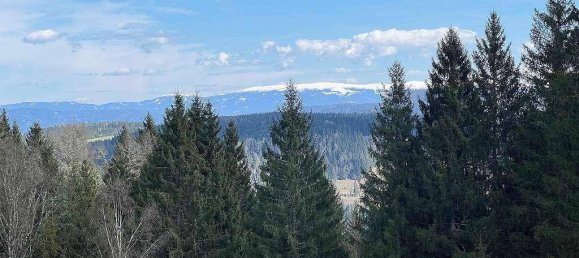 Дом с 4 комнатами в Гурк, Австрия № 239260 6