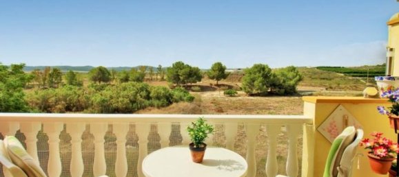 2 bedrooms Penthouse in Torremendo, Spain No. 183100 2