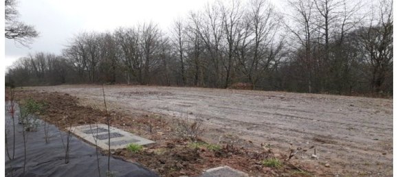 Terreno en Hombourg-Haut, France No. 77280 2