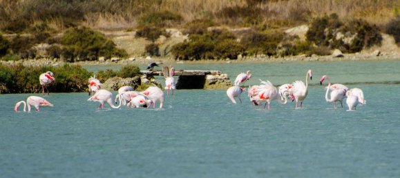 5-Zimmer Wohnung in Cagliari, Italy, Nr. 210544 18