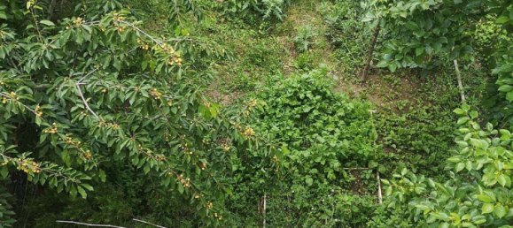 4غرفة شقة في San Giovanni Valdarno, Italy رقم 147696 10